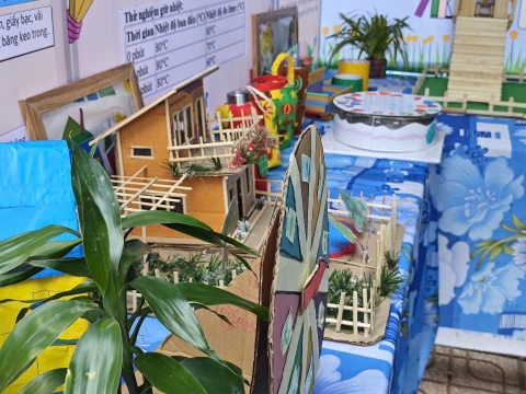 HOẠT ĐỘNG STEM CỦA CÁC TRƯỜNG