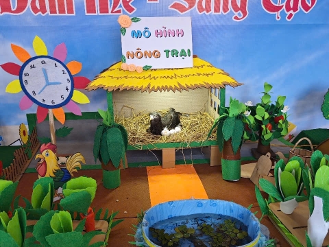 HOẠT ĐỘNG STEM CỦA CÁC TRƯỜNG