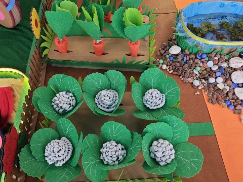 HOẠT ĐỘNG STEM CỦA CÁC TRƯỜNG