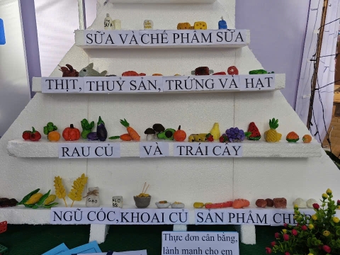 HOẠT ĐỘNG STEM CỦA CÁC TRƯỜNG
