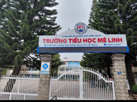 STEPPING STONES EDUCATION Tập huấn về giáo dục STEM và Trí tuệ nhân tạo cho trường tiểu học Mê Linh - Đà Lạt ngày 10-8-2026
