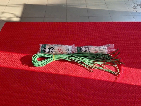 STEPPING STONES EDUCATION ĐỒNG HÀNH CÙNG THPT NGUYỄN AN NINH , TPHCM TRONG NGÀY HỘI TƯ VẤN TUYỂN SINH QUA HOẠT ĐỘNG TRẢI NGHIỆM STEM - AI